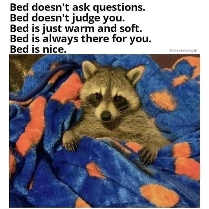 I ❤️ bed😊
