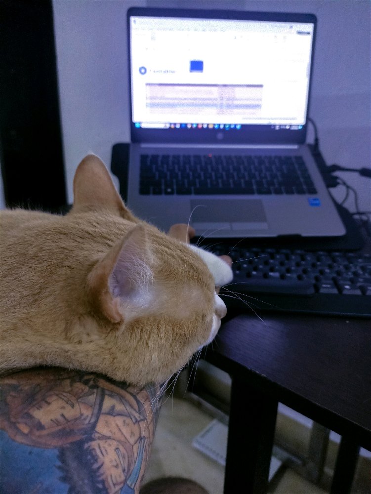 Kero Pimienta / Supervisor de niveles de estrés laboral