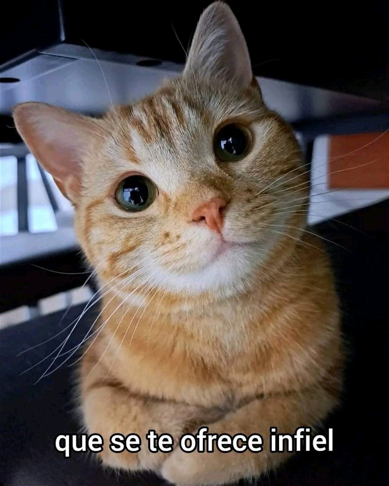 😍😍