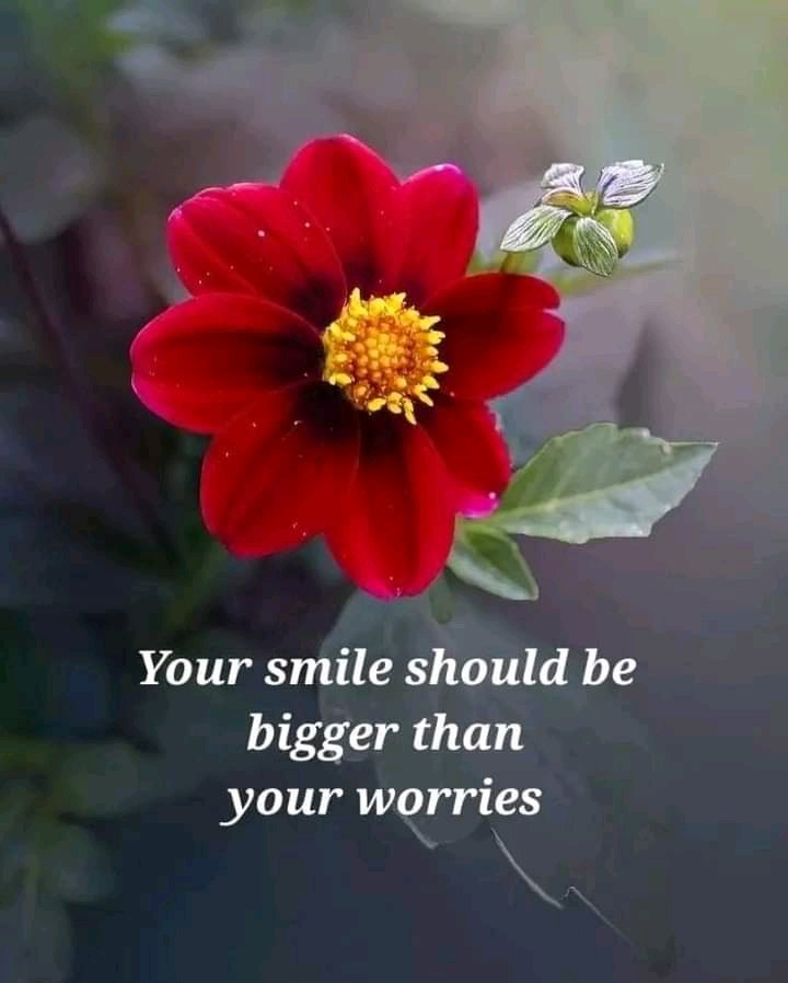 Smile 😁