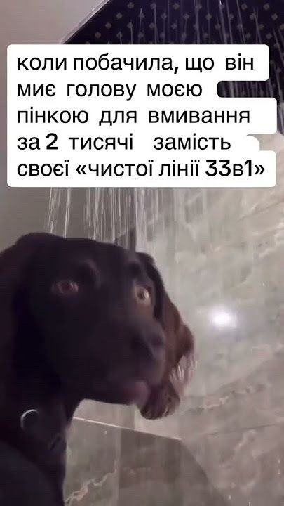 А ви як, пані?