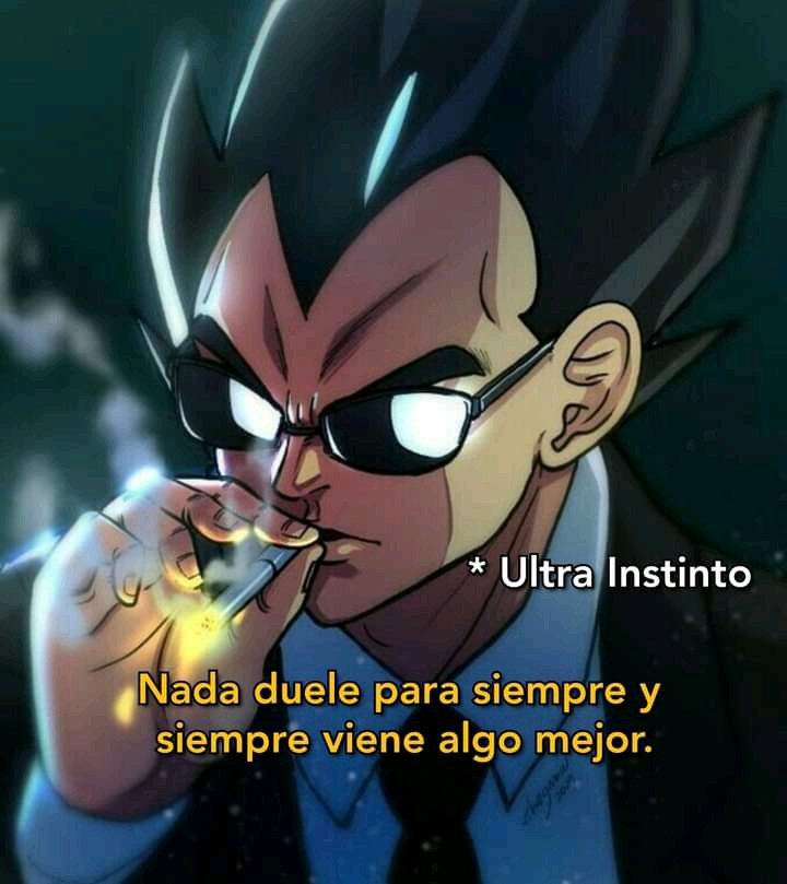 Xd