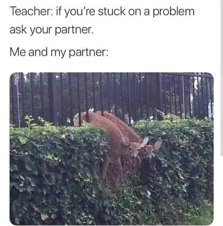😁