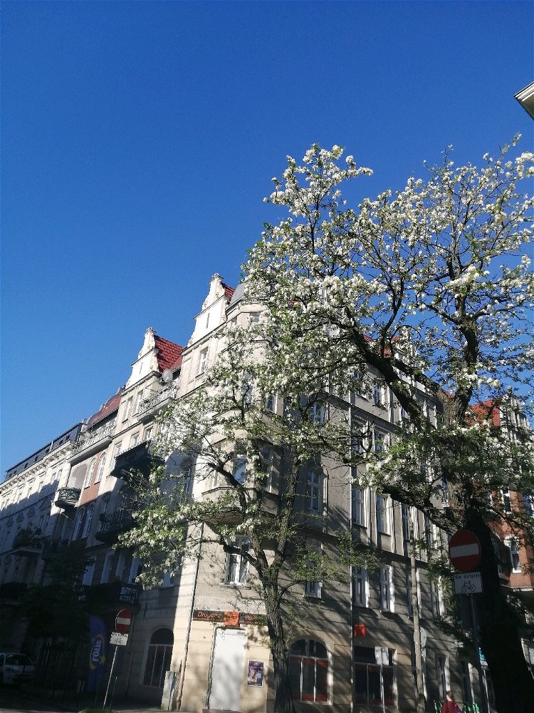 Всім неба