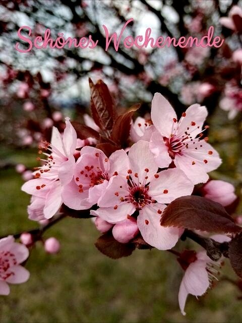 Wochenende