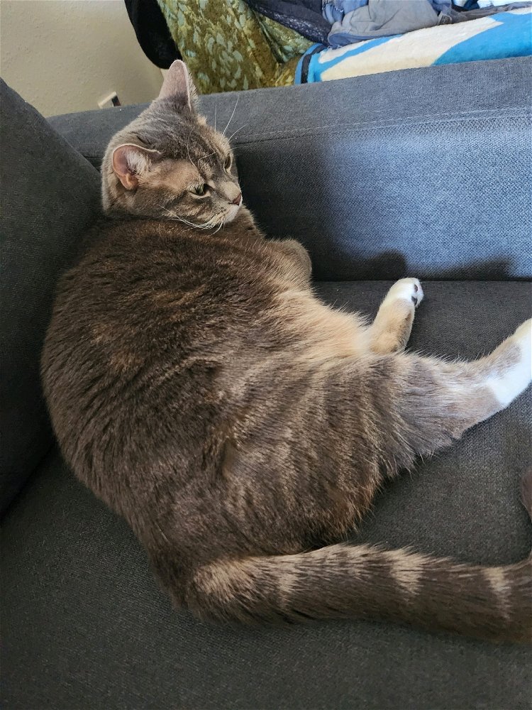 She likes to watch tv too