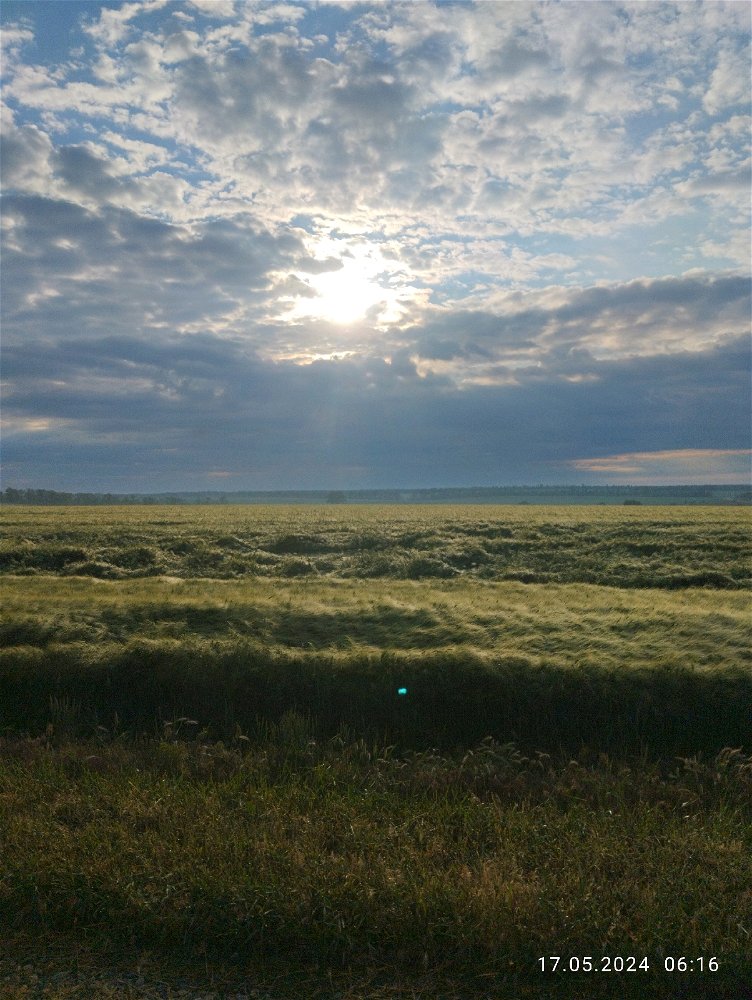 ⛅🌾
