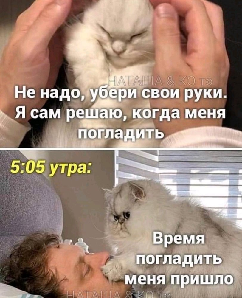 Каждое утро😁🩷