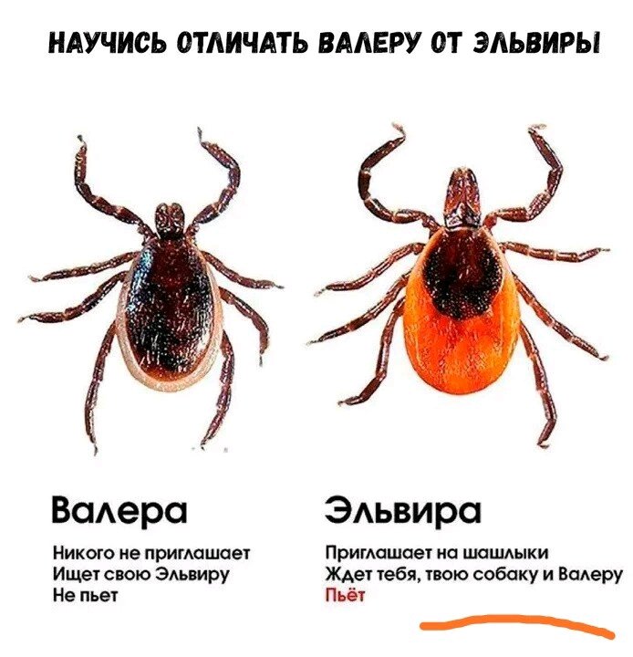 На заметку