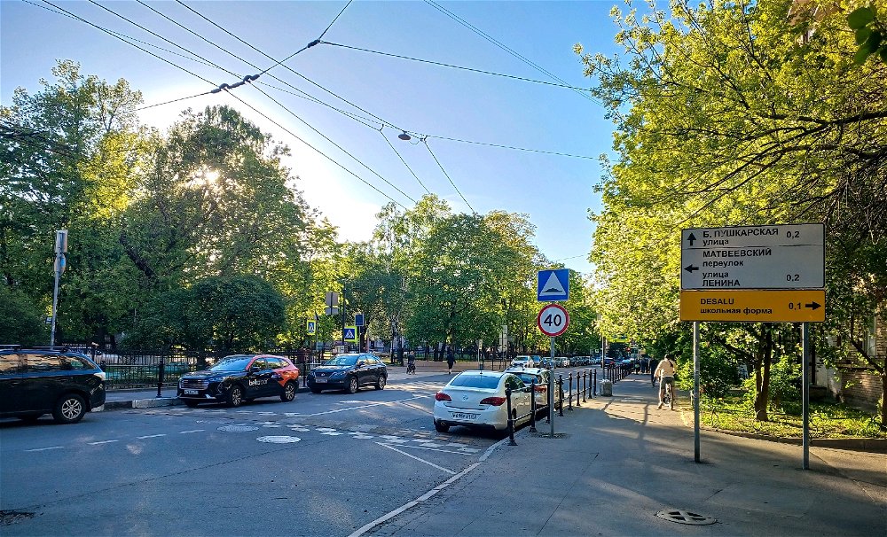 Деревья на Кронверкской улице