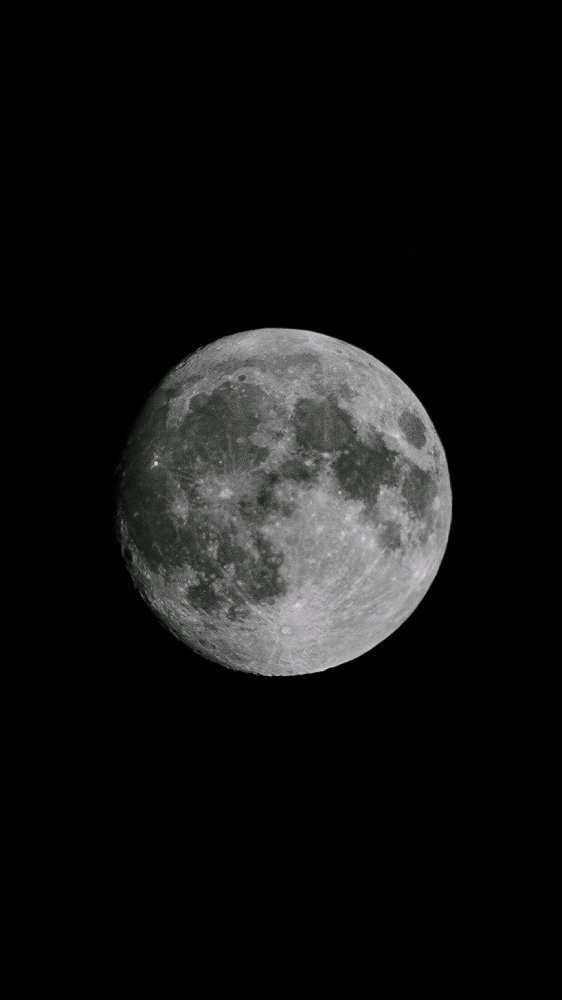 🌔