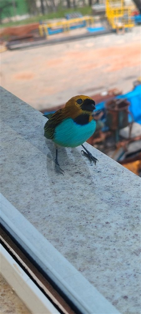 Vantagens de trabalhar no meio do nada