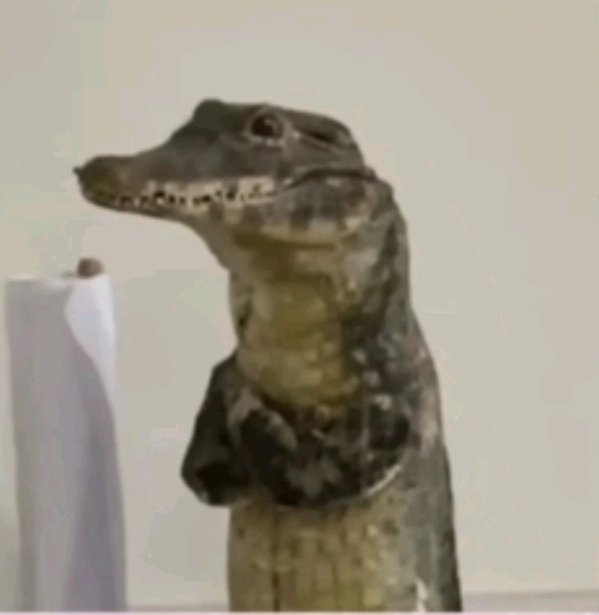 ?
