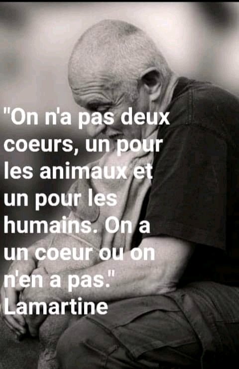 Exactement