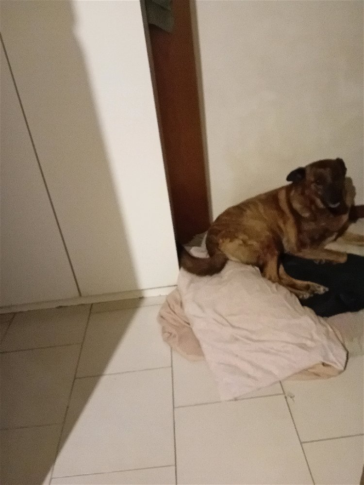 La mia stellina🥰🥰