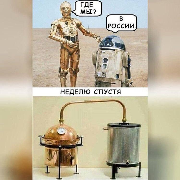 🤣🙈