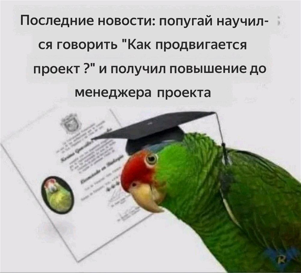 Хрюкаю как сучара)))