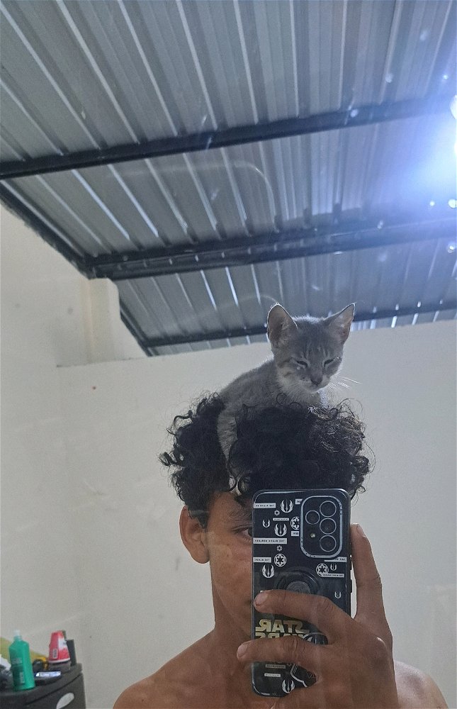 .