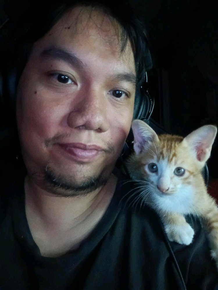 Gamer plus cat how it gonna be