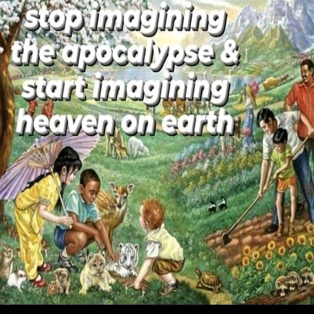 Pls