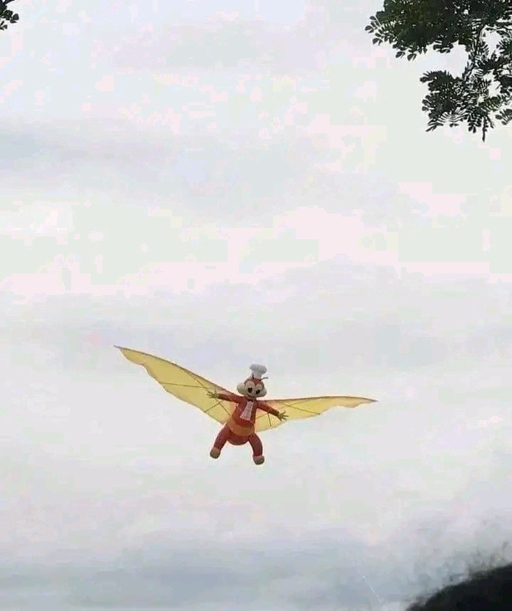 Fly Jollibee fly