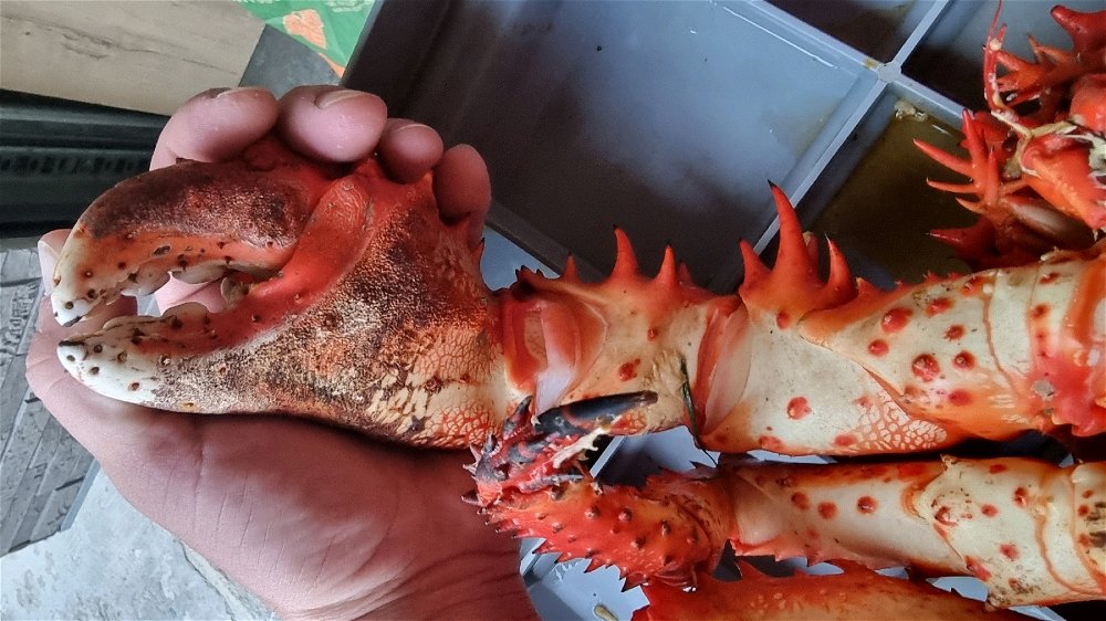 Море сегодня порадовало 😁