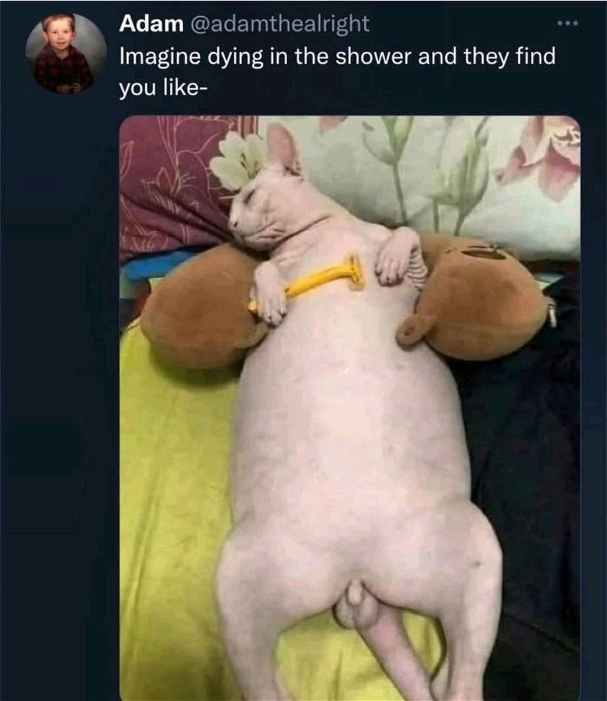 🫣😂🤣