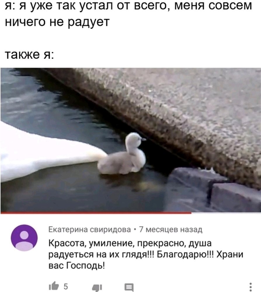 Доброе утро, товарищи)