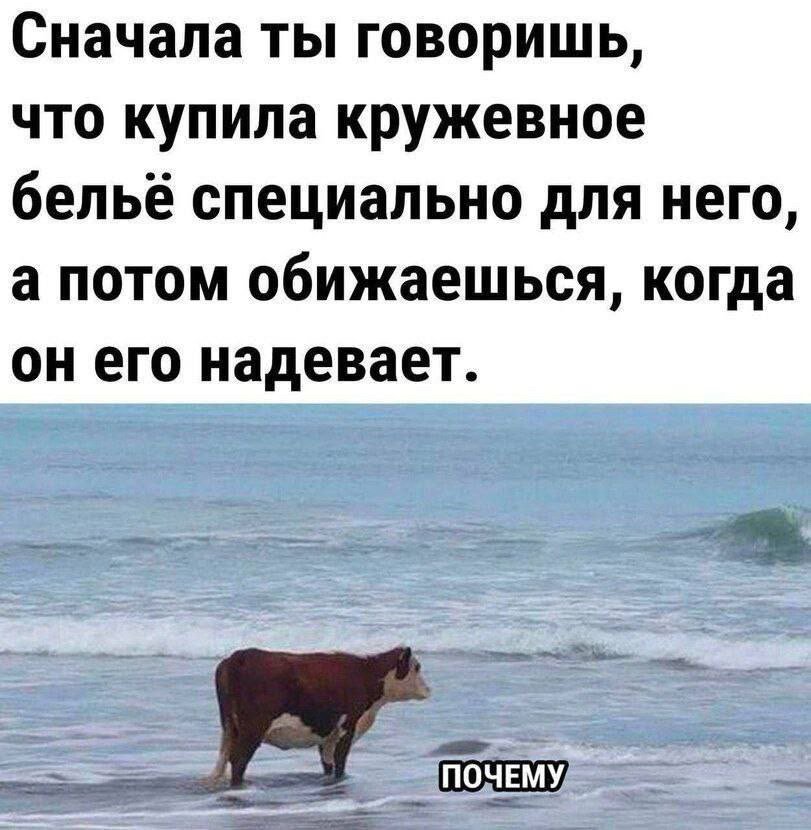 Действительно…