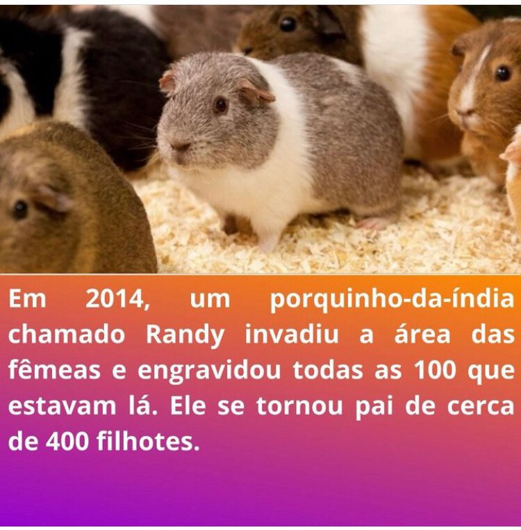 Esse caiu no jutsu da pensão infinita