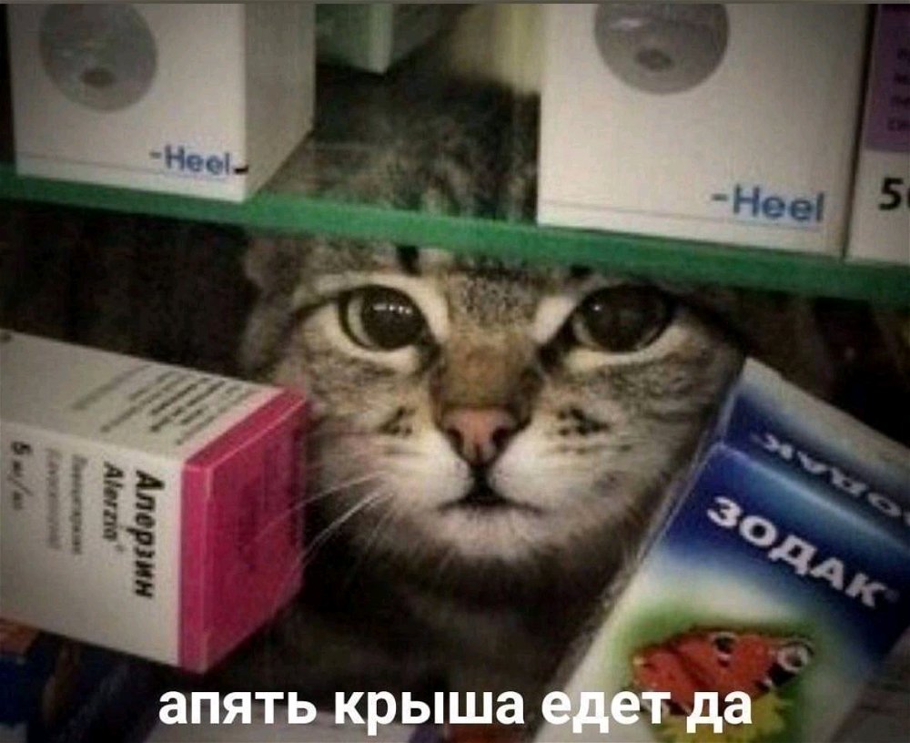Биполярка