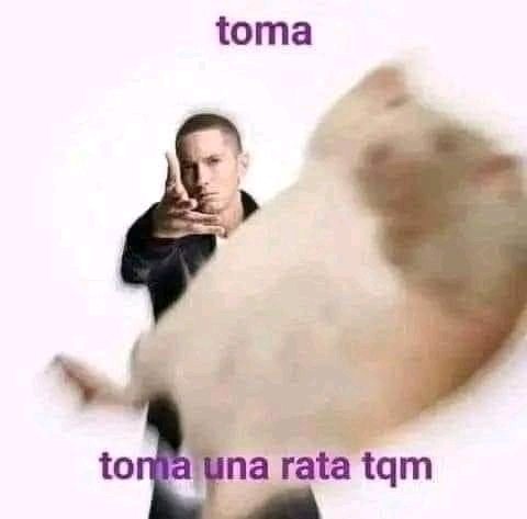 MEME DEL DIA (TENGO INSOMNIO)