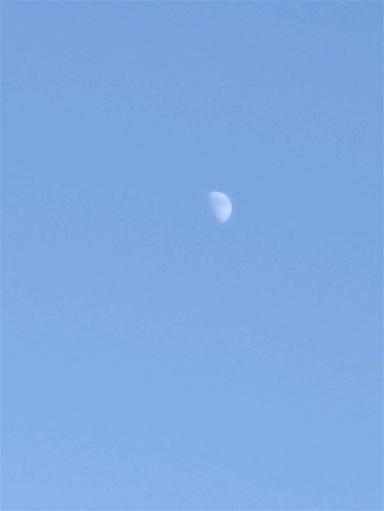 🌛