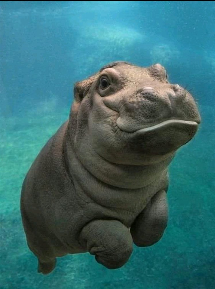 Just in case you're feeling a little sad today