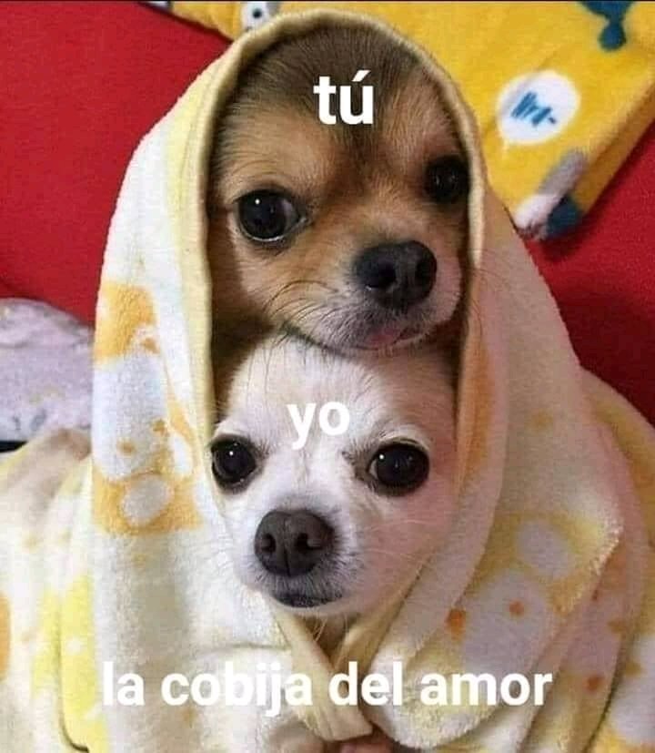 No sé.... Piénsalo 😉
