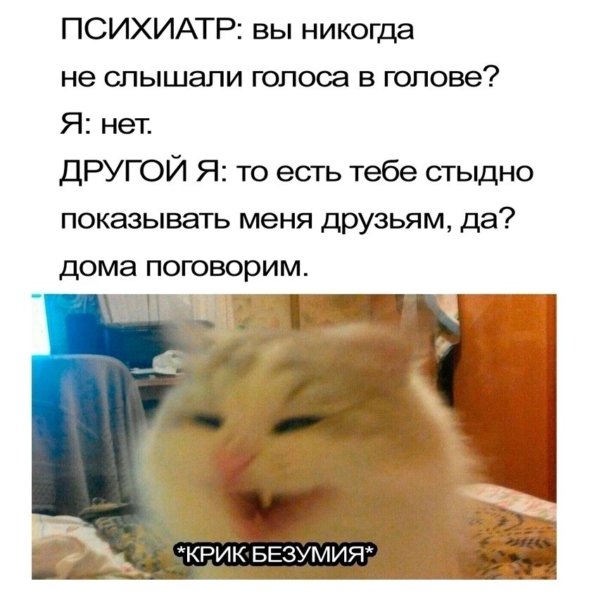 💭💭💭💭💭