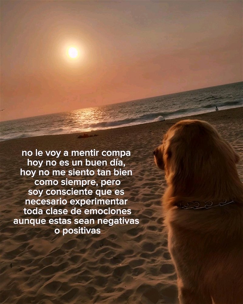🐕☀️