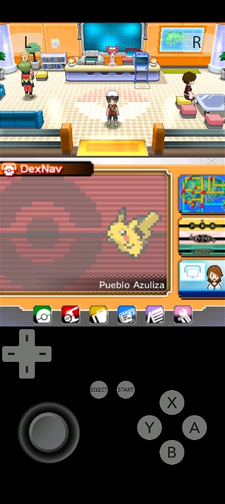 Viva