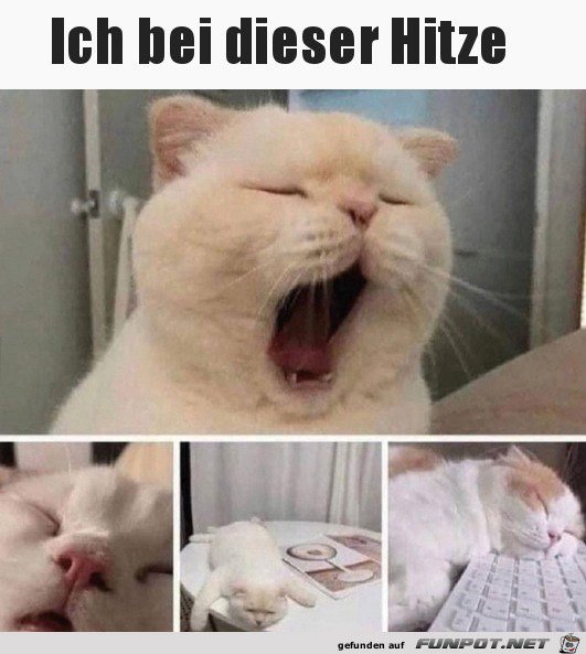 🥵