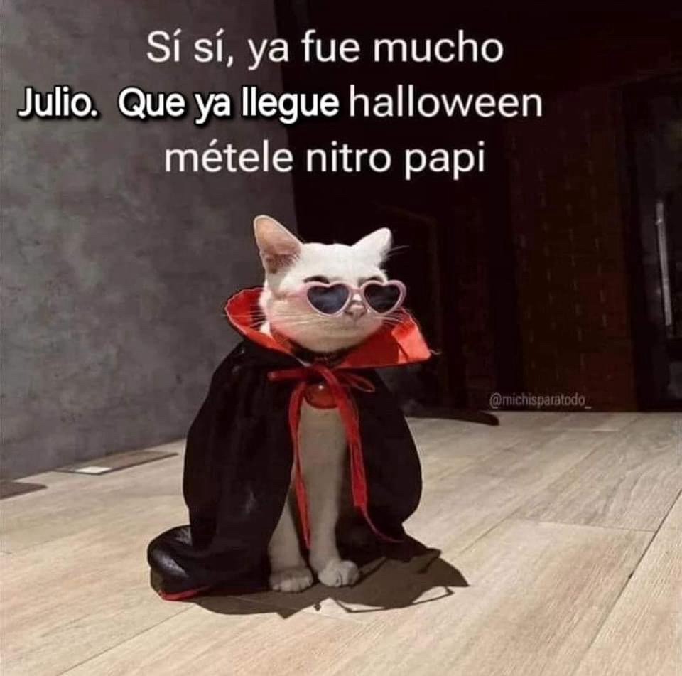 Mejor Navidad 🎄