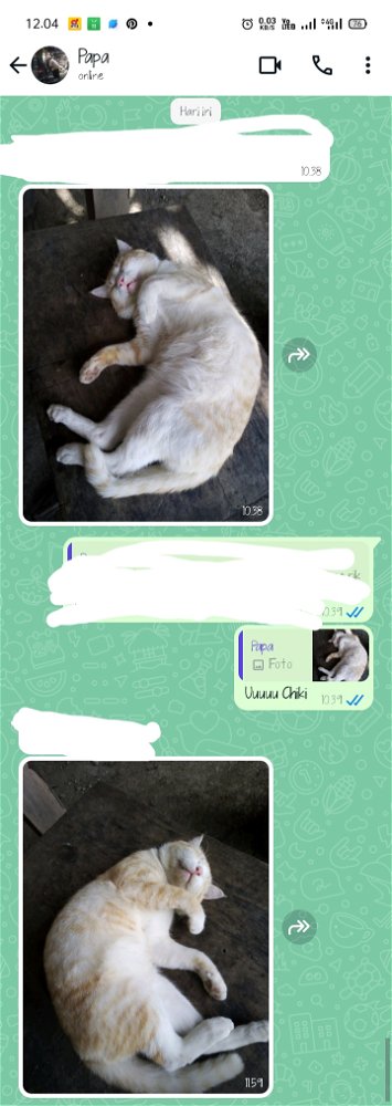Anak Pungut