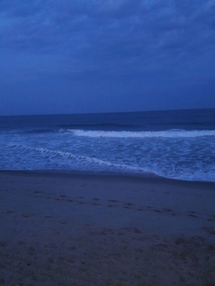 Just A Beach Photo
