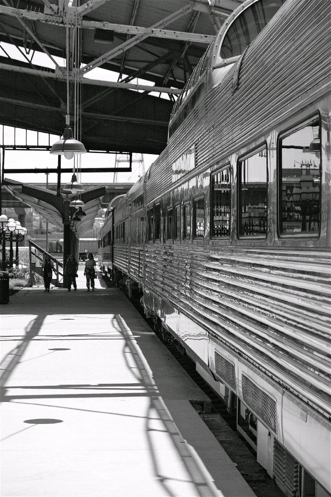 Wanted to take some black and white photos today. Here's my favorite.