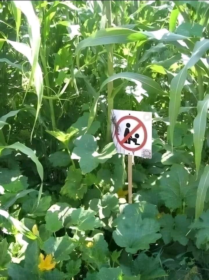 Seguitemi per altri divieti interessati 😂😂😂