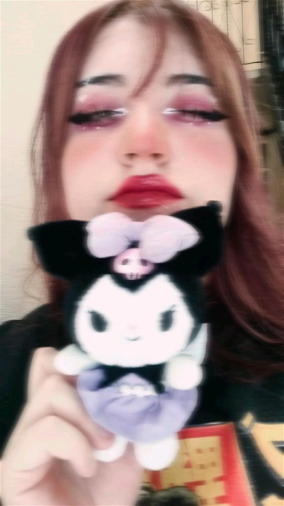 La felicidad si esta en un peluchito de sanrio ❤️