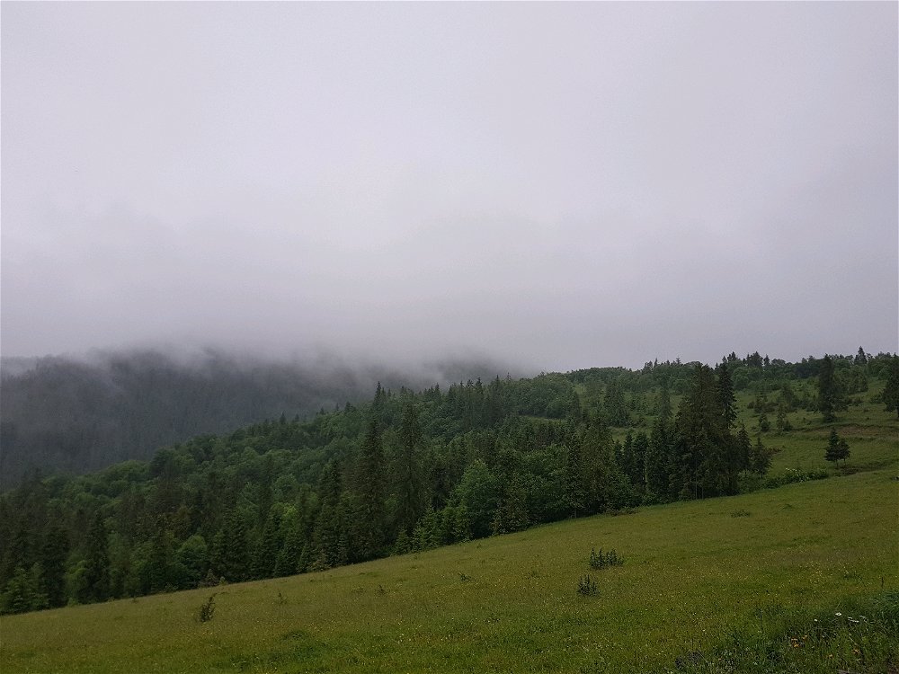 Можливо я просто накрутився.