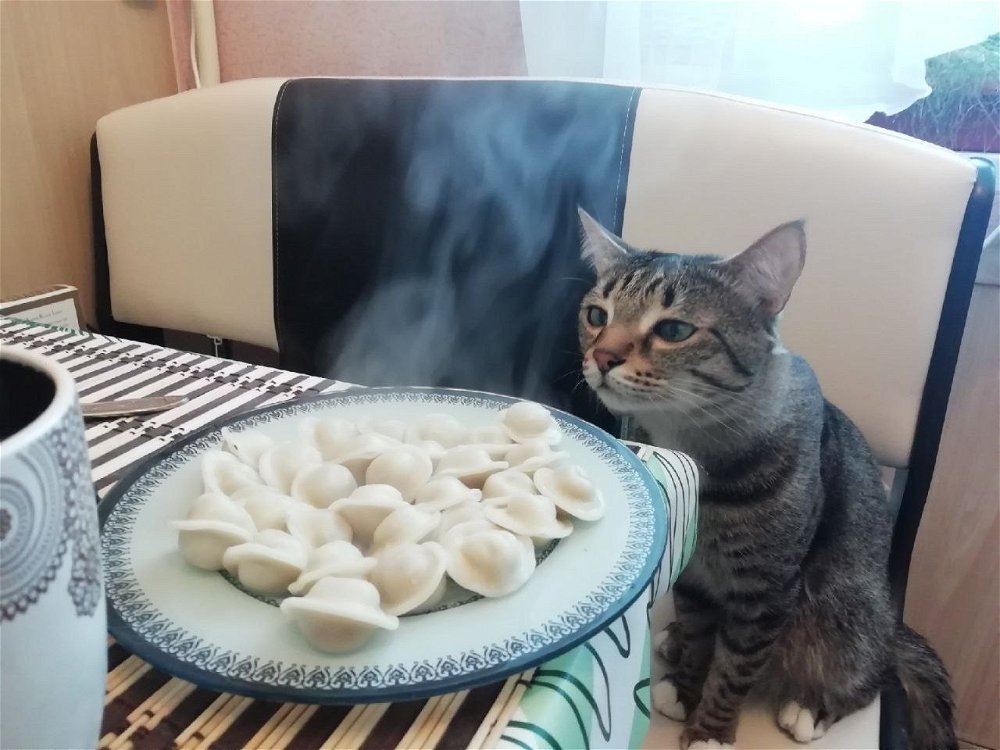 Эх вот будь у меня такая кошка…