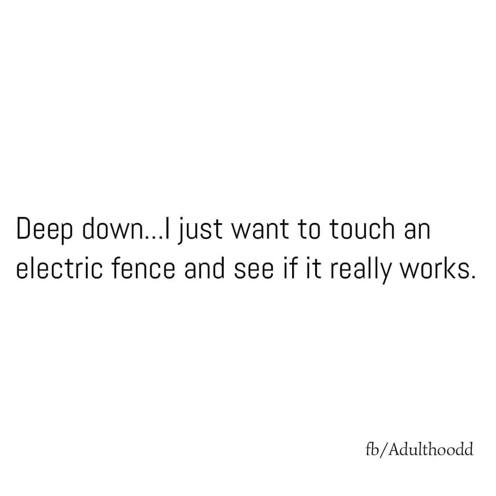 👍🏼