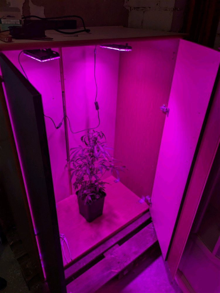Einen neuen Schrank zusammen gebaut