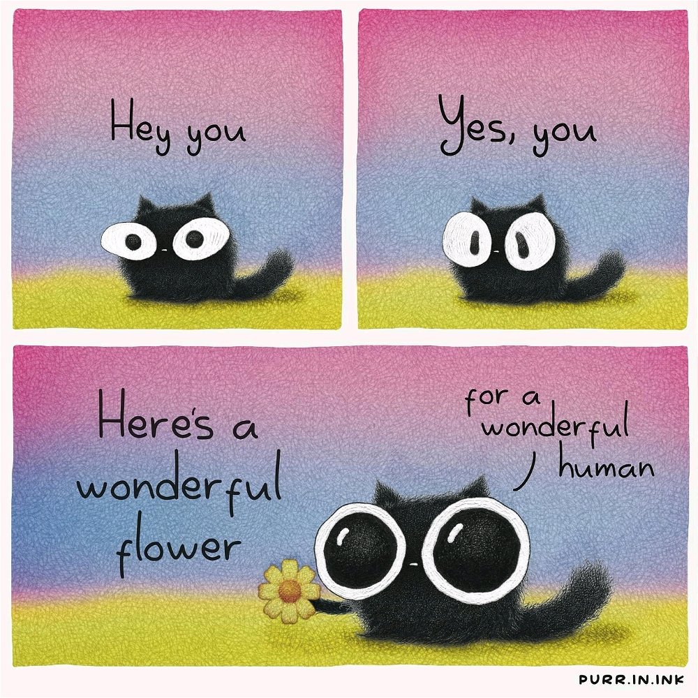 Ich wünsche euch allen einen erholsamen Sonntag, ihr Lieben 🤗🌻 
❤️🦝🌹